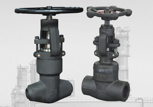 forged steel globe valve